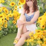 ヒメ日記 2025/08/26 08:03 投稿 百瀬心結 ローテンブルク