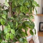 ヒメ日記 2025/09/14 08:36 投稿 百瀬心結 ローテンブルク