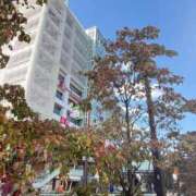 ヒメ日記 2026/10/08 22:05 投稿 百瀬心結 ローテンブルク
