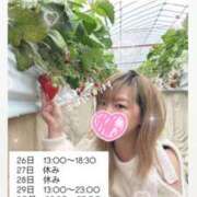 ヒメ日記 2025/11/26 07:12 投稿 れいる【フルOP可能エロ才女】 One More 奥様 新宿店