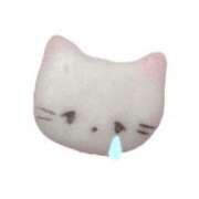 ヒメ日記 2025/07/19 17:46 投稿 マドカ ラブコレクション