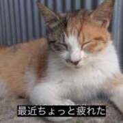 ヒメ日記 2026/01/01 14:01 投稿 マドカ ラブコレクション