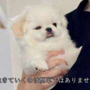 ヒメ日記 2026/01/02 14:31 投稿 マドカ ラブコレクション