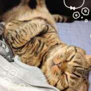 ヒメ日記 2025/07/10 15:51 投稿 まお 丸妻 厚木店