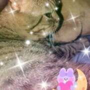 ヒメ日記 2025/07/10 18:36 投稿 まお 丸妻 厚木店