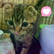 ヒメ日記 2025/07/13 20:24 投稿 まお 丸妻 厚木店