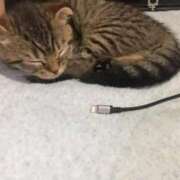 まお お題 丸妻 厚木店