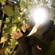 ヒメ日記 2025/12/30 08:34 投稿 桜井 あやの イケない女教師 大阪店