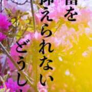 ヒメ日記 2025/09/27 10:49 投稿 しきぶ 西船人妻花壇