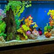 ヒメ日記 2025/10/18 05:27 投稿 しきぶ 西船人妻花壇