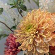 ヒメ日記 2025/11/25 12:52 投稿 しきぶ 西船人妻花壇