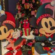 ヒメ日記 2025/12/07 12:18 投稿 しきぶ 西船人妻花壇