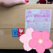 ヒメ日記 2026/03/18 12:40 投稿 しきぶ 西船人妻花壇