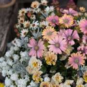 ヒメ日記 2026/03/29 19:08 投稿 しきぶ 西船人妻花壇