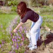 ヒメ日記 2026/04/13 15:53 投稿 しきぶ 西船人妻花壇