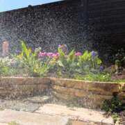 ヒメ日記 2026/04/14 11:29 投稿 しきぶ 西船人妻花壇