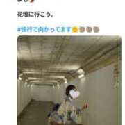 ヒメ日記 2026/07/31 03:25 投稿 しきぶ 西船人妻花壇