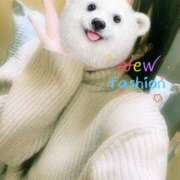 ヒメ日記 2025/12/17 11:15 投稿 まりな 横浜人妻セレブリティ（ユメオト）