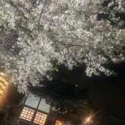 ヒメ日記 2026/04/08 15:03 投稿 みう 熟女の風俗最終章 相模原店