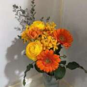 ヒメ日記 2026/03/11 00:44 投稿 白瀬 りあ Men's relaxation VEGA