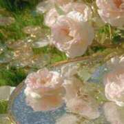 ヒメ日記 2025/08/23 19:06 投稿 新人まりか☆業界未経験 セレブ パラダイス