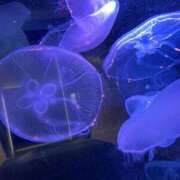 ヒメ日記 2026/02/28 19:42 投稿 新人まりか☆業界未経験 セレブ パラダイス