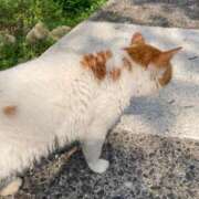 ヒメ日記 2026/03/30 10:48 投稿 新人まりか☆業界未経験 セレブ パラダイス