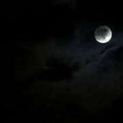 ヒメ日記 2025/11/24 23:48 投稿 みる 名古屋ちゃんこ