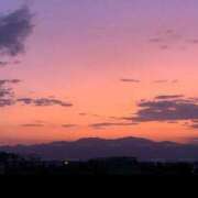 ヒメ日記 2025/11/29 17:18 投稿 みる 名古屋ちゃんこ