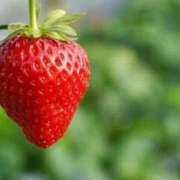 ヒメ日記 2025/11/30 09:08 投稿 みる 名古屋ちゃんこ