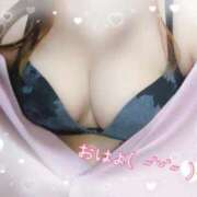 ヒメ日記 2025/12/01 09:38 投稿 みる 名古屋ちゃんこ