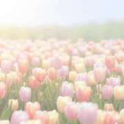 ヒメ日記 2026/01/28 17:12 投稿 みる 名古屋ちゃんこ