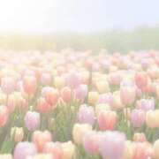 ヒメ日記 2026/01/29 21:47 投稿 みる 名古屋ちゃんこ