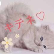 ヒメ日記 2025/07/28 16:05 投稿 白鳥ふゆ コウテイ