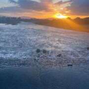 ヒメ日記 2025/10/29 09:15 投稿 白鳥ふゆ コウテイ