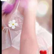 ヒメ日記 2026/01/11 16:26 投稿 白鳥ふゆ コウテイ