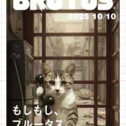 ヒメ日記 2025/10/29 11:04 投稿 水野めろん しこたま奥様　熊本店