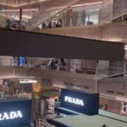 ヒメ日記 2025/12/03 20:16 投稿 坂口みゆき MADAM