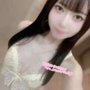 ヒメ日記 2025/06/25 15:01 投稿 うさぎ CECIL