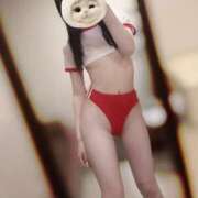 ヒメ日記 2025/06/26 15:02 投稿 うさぎ CECIL