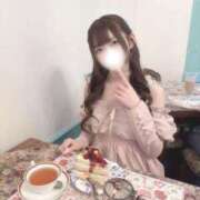 ヒメ日記 2025/07/02 12:01 投稿 うさぎ CECIL