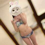 ヒメ日記 2025/07/11 07:20 投稿 うさぎ CECIL