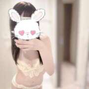 ヒメ日記 2025/07/27 11:01 投稿 うさぎ CECIL