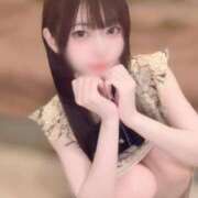 ヒメ日記 2025/08/25 12:04 投稿 うさぎ CECIL