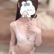 ヒメ日記 2025/08/26 16:04 投稿 うさぎ CECIL