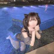 ヒメ日記 2025/09/10 20:55 投稿 うさぎ CECIL