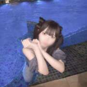 ヒメ日記 2025/09/14 22:58 投稿 うさぎ CECIL