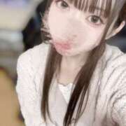 ヒメ日記 2025/10/03 11:48 投稿 うさぎ CECIL