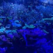 ヒメ日記 2025/10/13 14:54 投稿 うさぎ CECIL