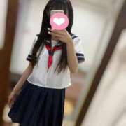 ヒメ日記 2025/11/13 11:00 投稿 うさぎ CECIL